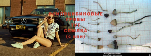 гидропоника Абинск