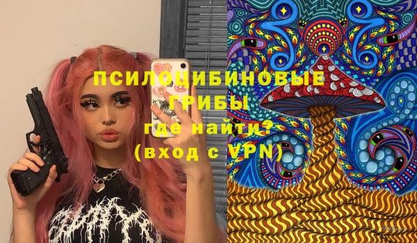 мдпв Алзамай