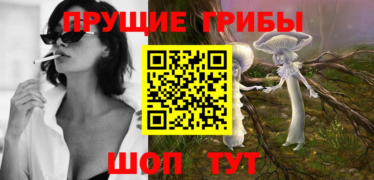 Псилоцибиновые грибы прущие грибы Северодвинск